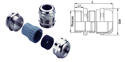 Conector glándula latón